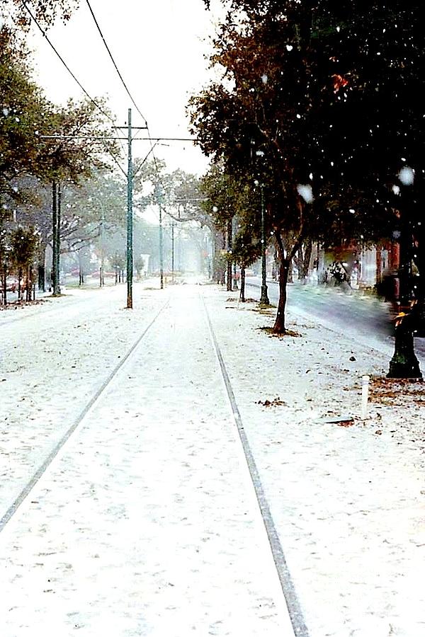 New Orleans Snow Uptown In New Orleans Louisiana Photograph