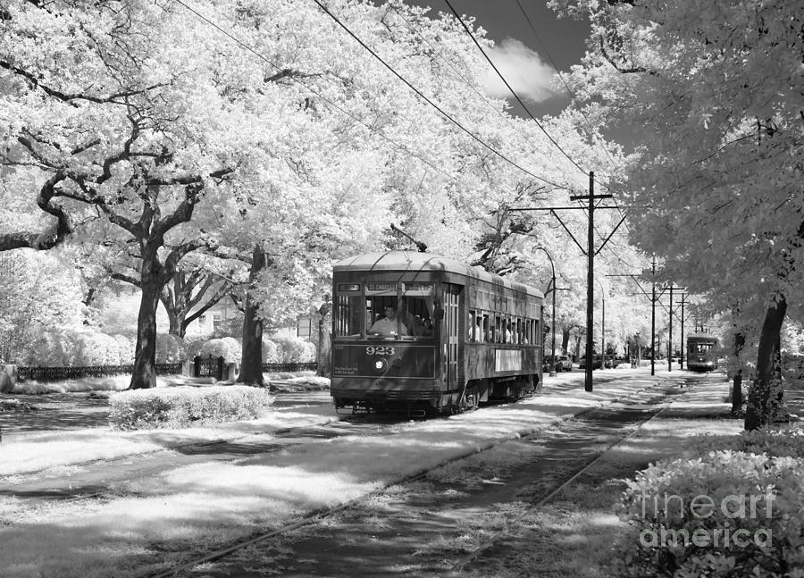 New Orleans, Streetcar.  Photograph by Granger