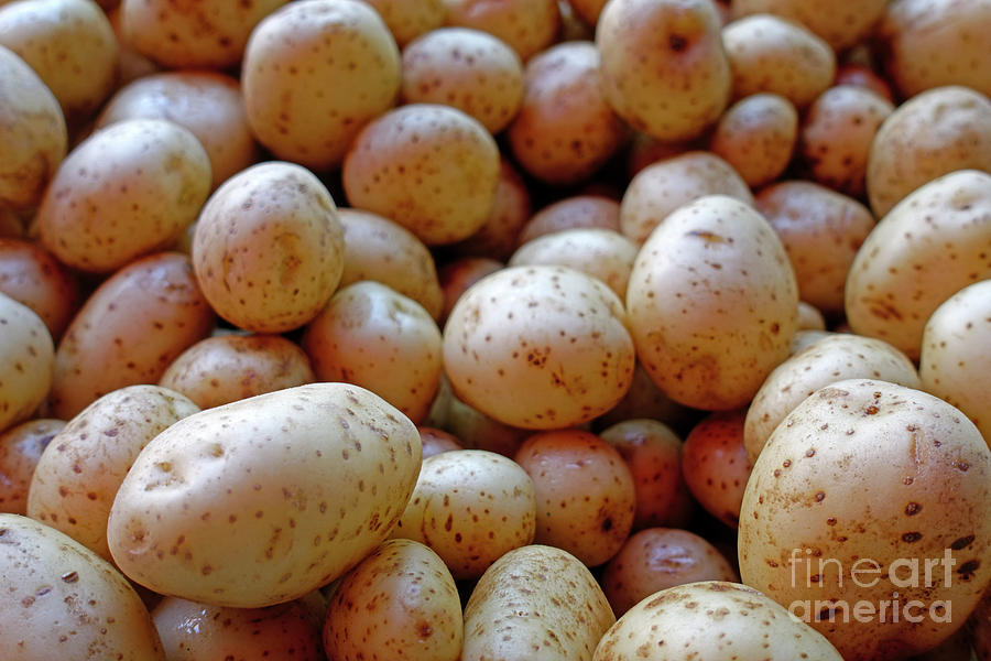 New potatoes for sale in a market Photograph by Louise Heusinkveld