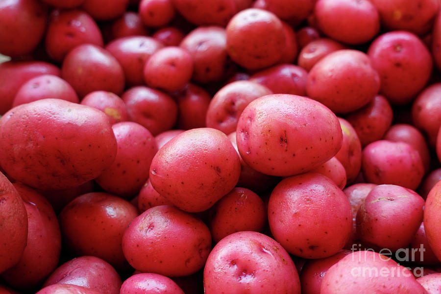 New red potatoes for sale in a market Photograph by Louise Heusinkveld