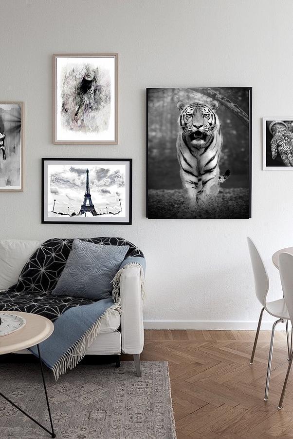 New Releases - Interior Decorating Pictures Photograph by Jean Francois Gil