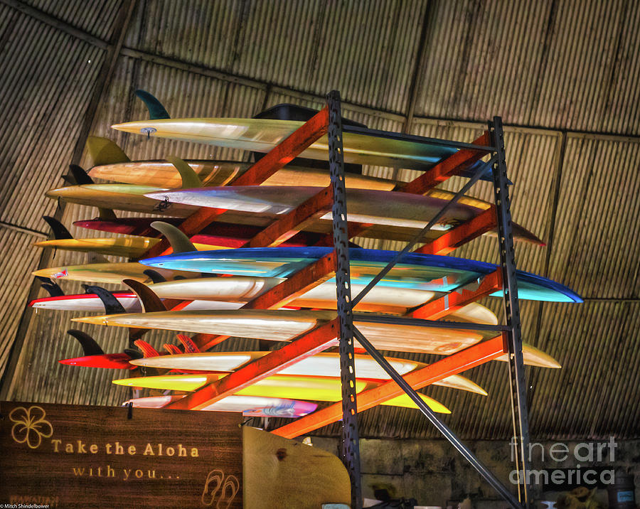 New Surfboards Photograph by Mitch Shindelbower