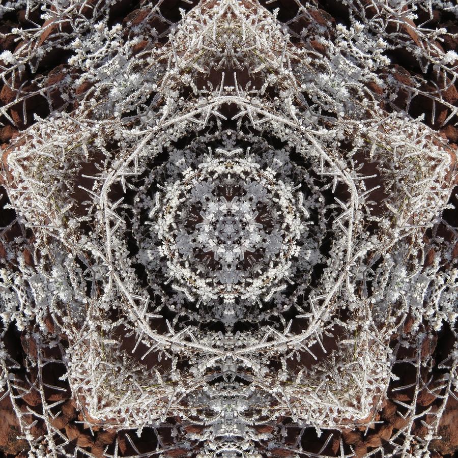 New Upload by Trina Stephenson New Upload by Trina Stephenson