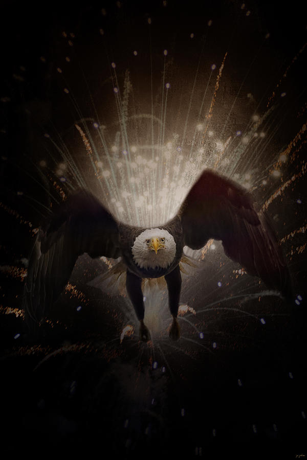 New Year Eagle Photograph by Jai Johnson Fine Art America