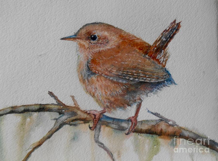 Wren Painting - New Year Wren by Patricia Pushaw