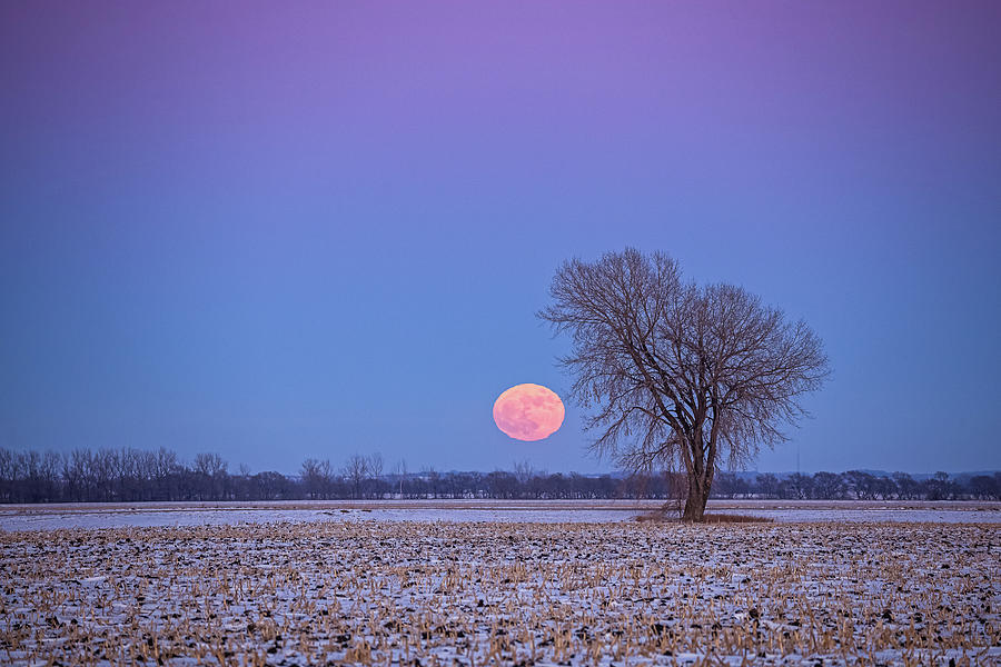 New Years Supermoon Photograph by Penny Meyers