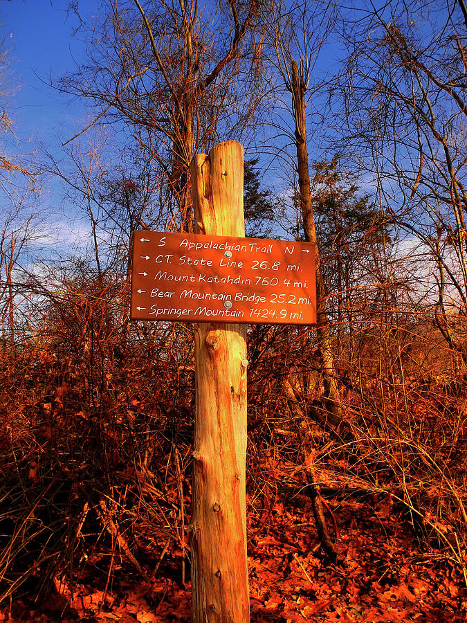 New York Appalachian Trail Sign Photograph by Raymond Salani III
