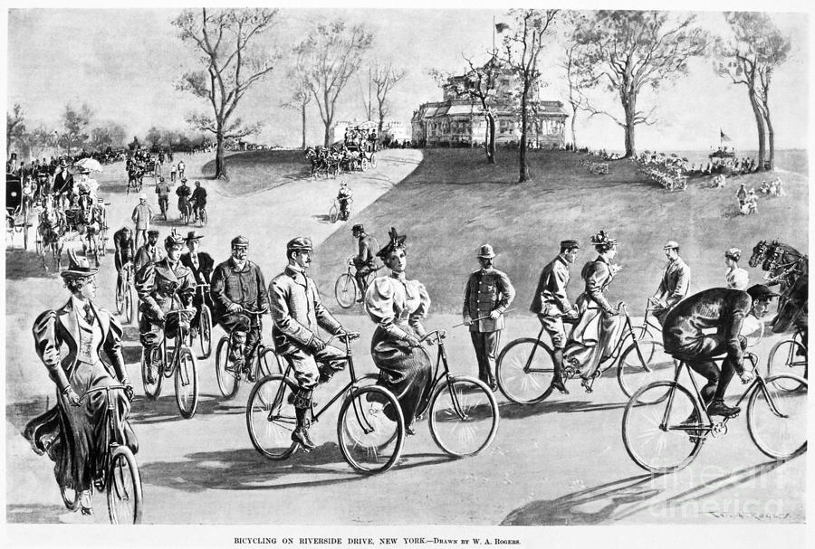 New York: Bicycling, 1895 Photograph by Granger