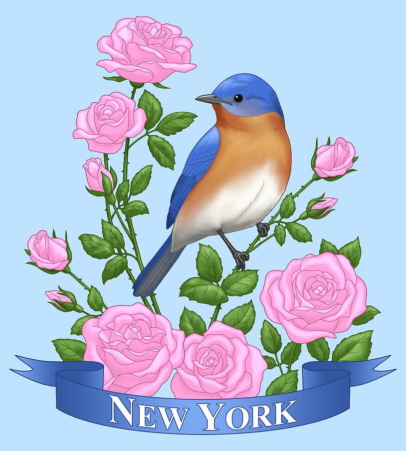 Rose Painting - New York Bluebird and Pink Roses by Crista Forest