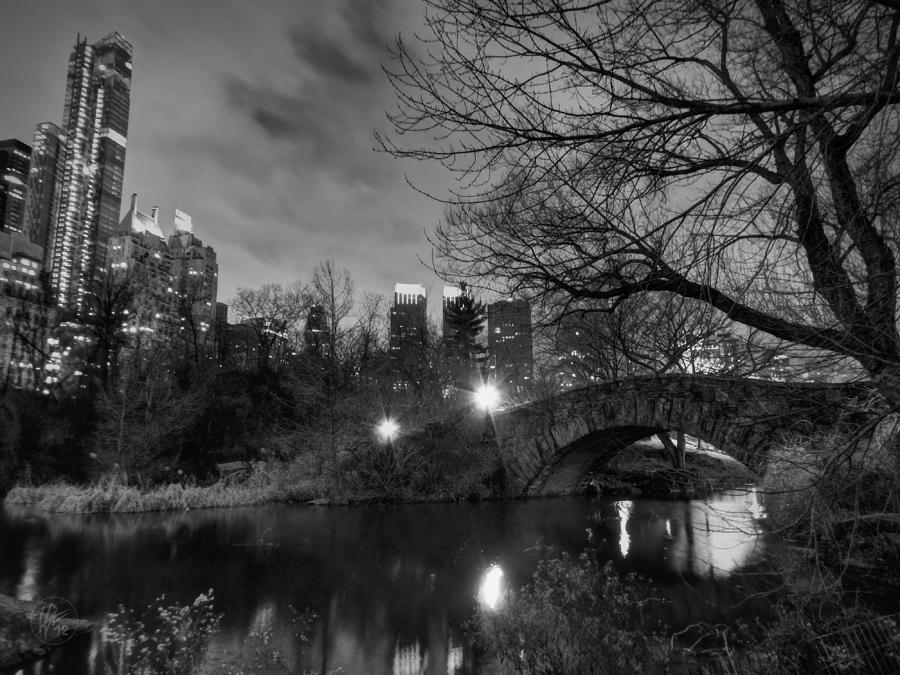 New York - Central Park 006 BW Photograph by Lance Vaughn