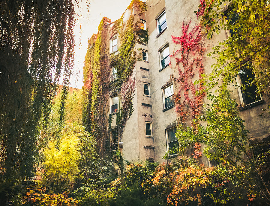 Fall Photograph - New York City Autumn East Village by Vivienne Gucwa