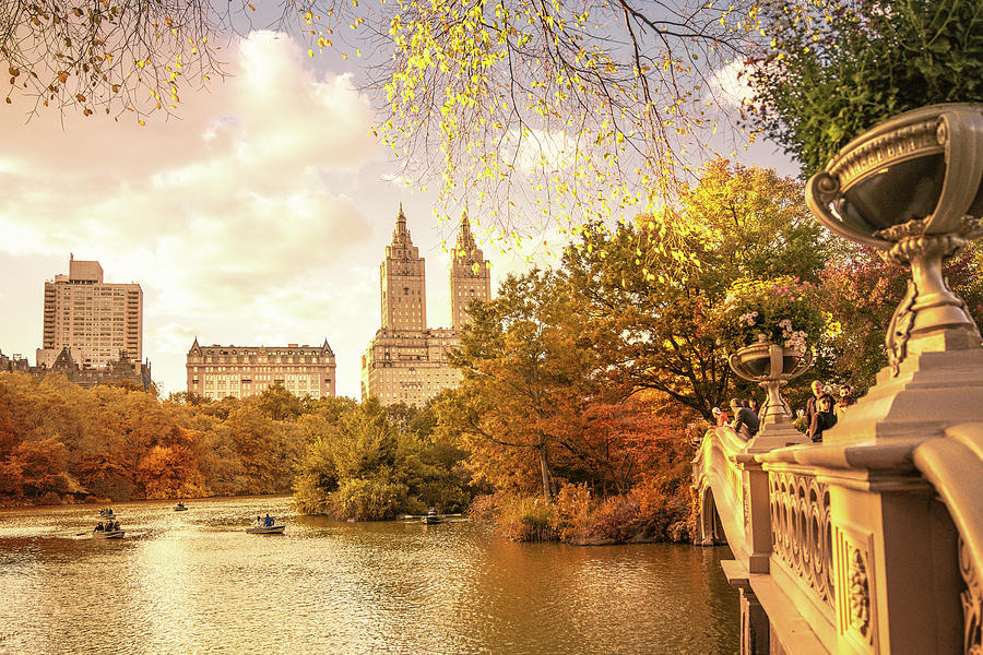 New York City Autumn Landscape Photograph by Vivienne Gucwa
