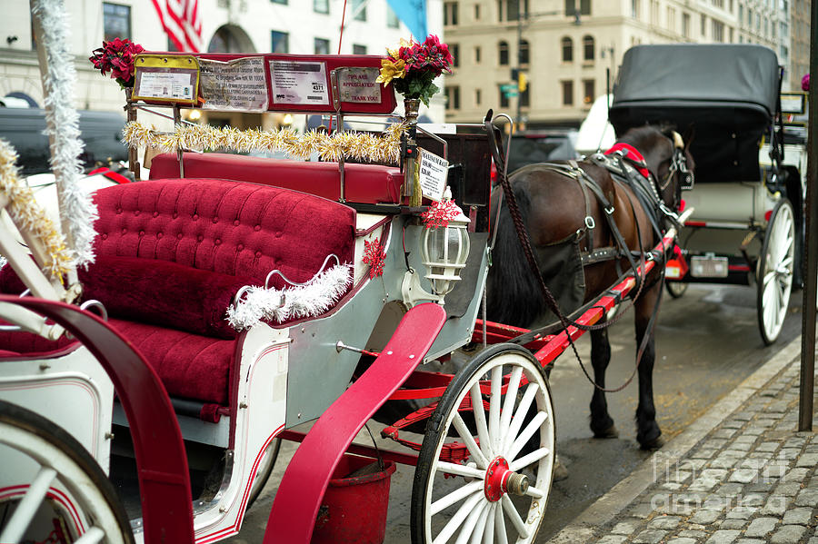 New York City Carriage Memories Photograph by John Rizzuto