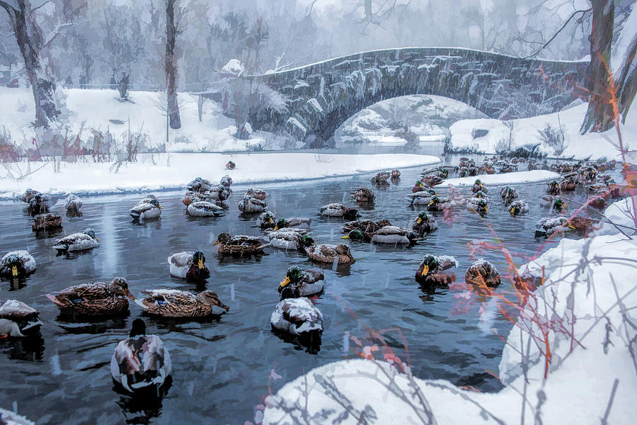 New York City Central Park Winter Ducks Painting by Christopher Arndt