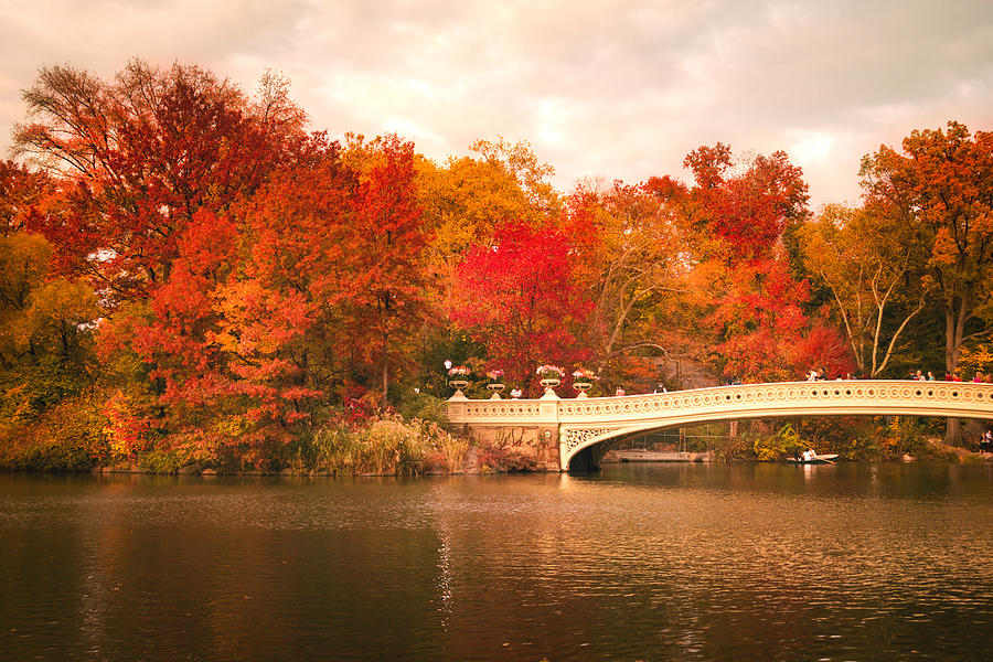 New York City in Autumn - Central Park Photograph by Vivienne Gucwa