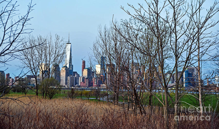 New York City in the countryside Photograph by PatriZio M Busnel