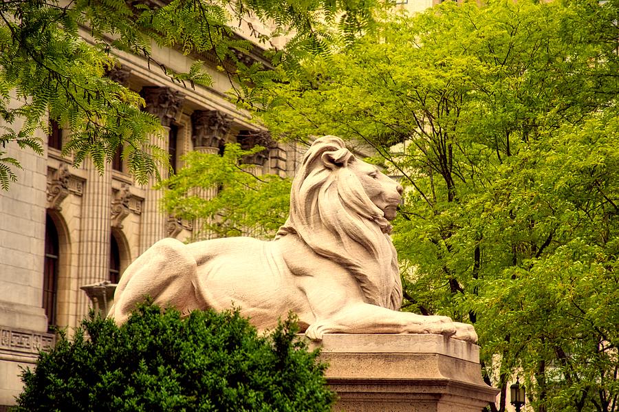 New York City Photograph - New York City Library Lion by Mountain Dreams