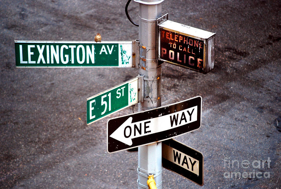 New York City - Street Signs - Lexington Av and E 51 St Photograph by Carlos Alkmin