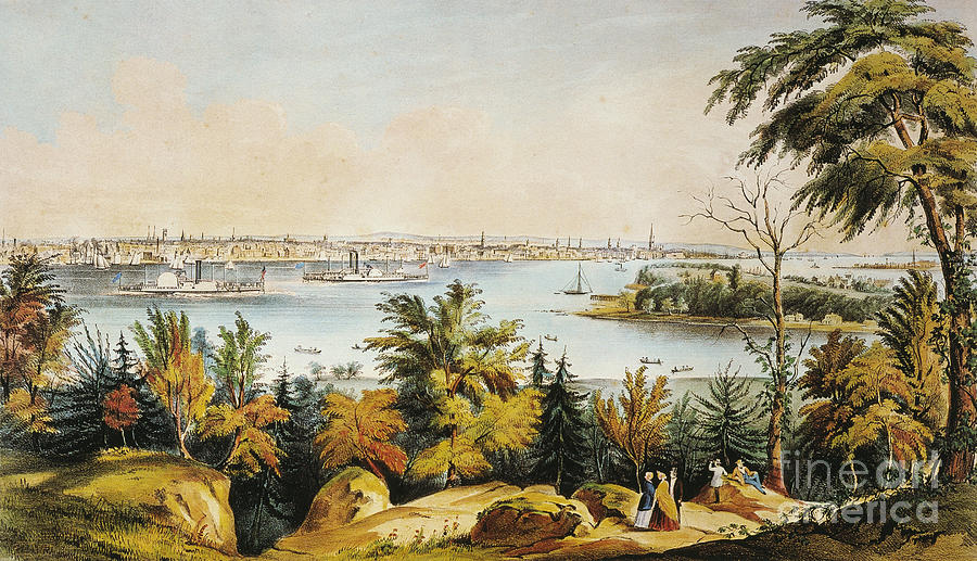 New York City View, 1849 Photograph by Granger