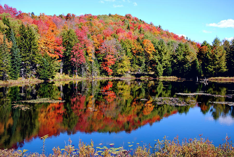 New York Fall Photograph by Joshua Fredericks - Fine Art America