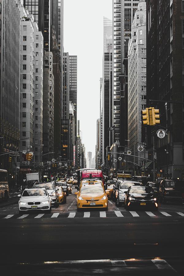 Central Park Photograph - New York by John Arano Central Park Photograph - New York by John Arano