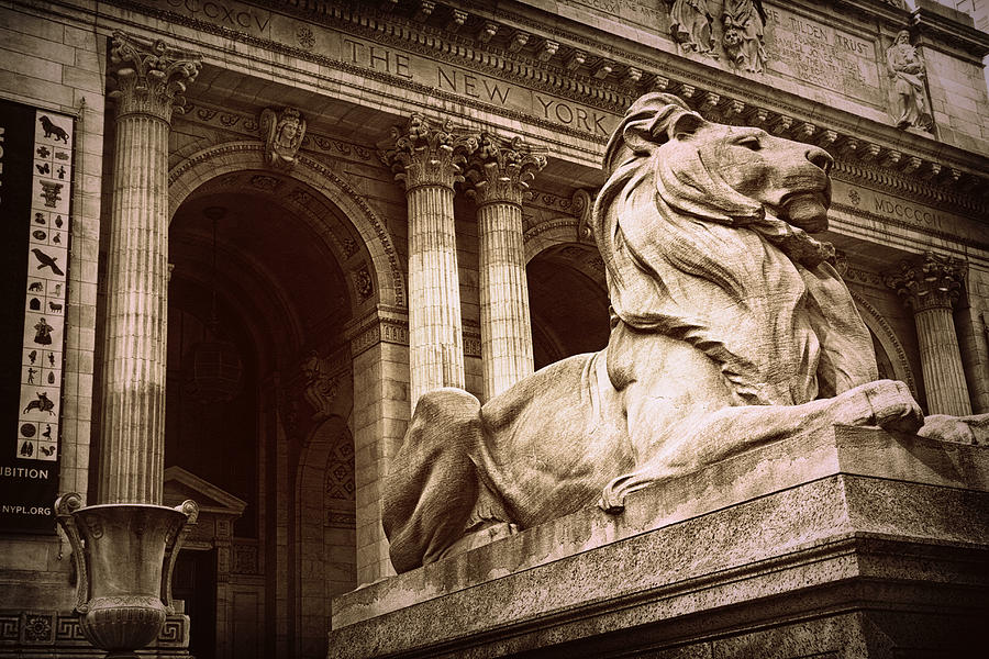 New York Public Library Lion Photograph by Jessica Jenney