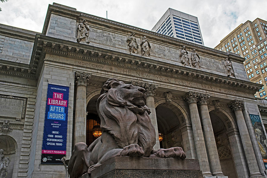 New York Public Library New York NY Fifth Ave Lion Photograph by Toby McGuire