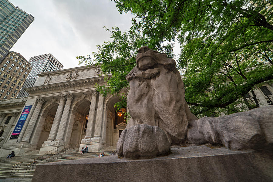 New York Public Library New York NY Fifth Ave Photograph by Toby McGuire