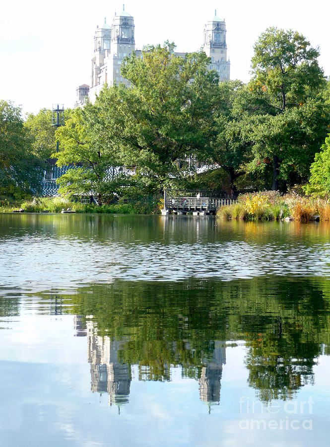 New York Reflections.Central Park Photograph by Anna  Duyunova