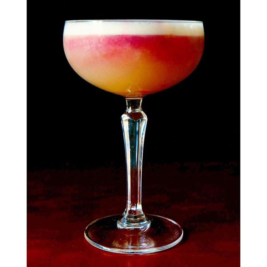 Cocktail Photograph - New York Sour Cocktail by Nikki G Davidson