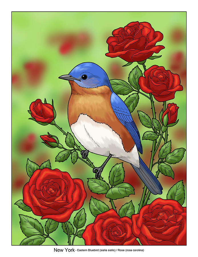  New York State Bluebird and Rose Painting by Crista Forest