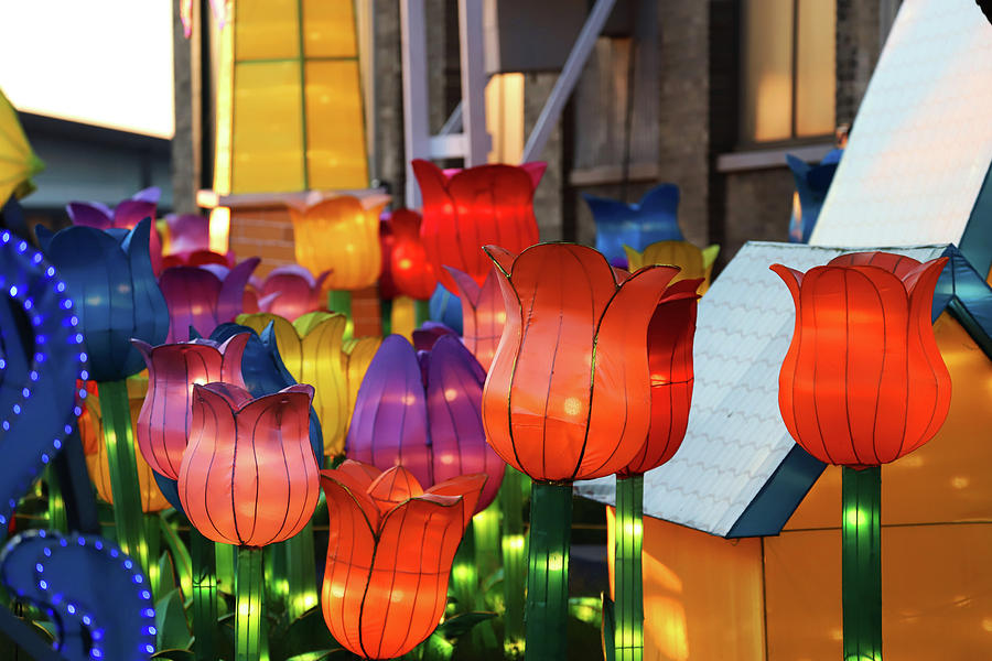 New York State Chinese Lantern Festival 37 Photograph by David Stasiak