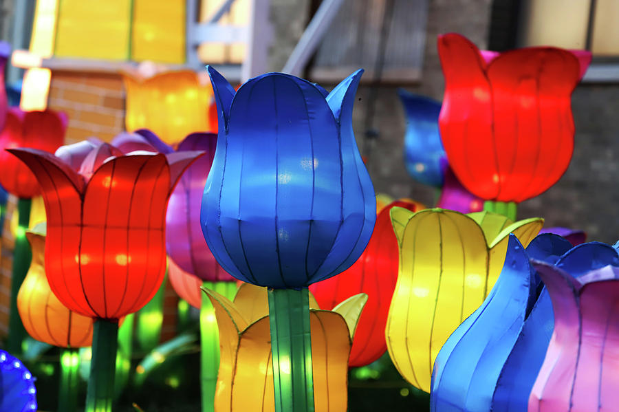 New York State Chinese Lantern Festival 39 Photograph by David Stasiak