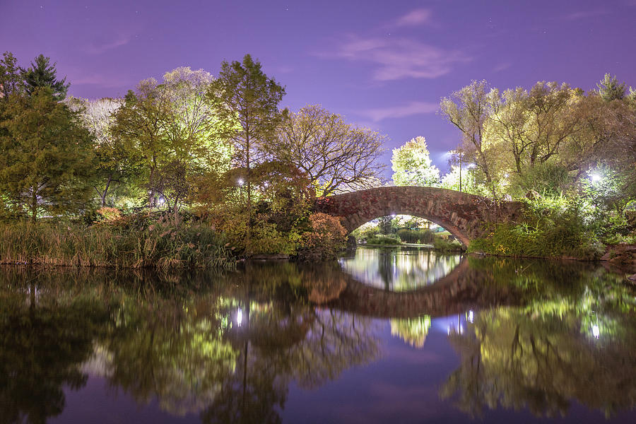New York City Photograph - New Yorks Central Park at Night by Paul K Porter
