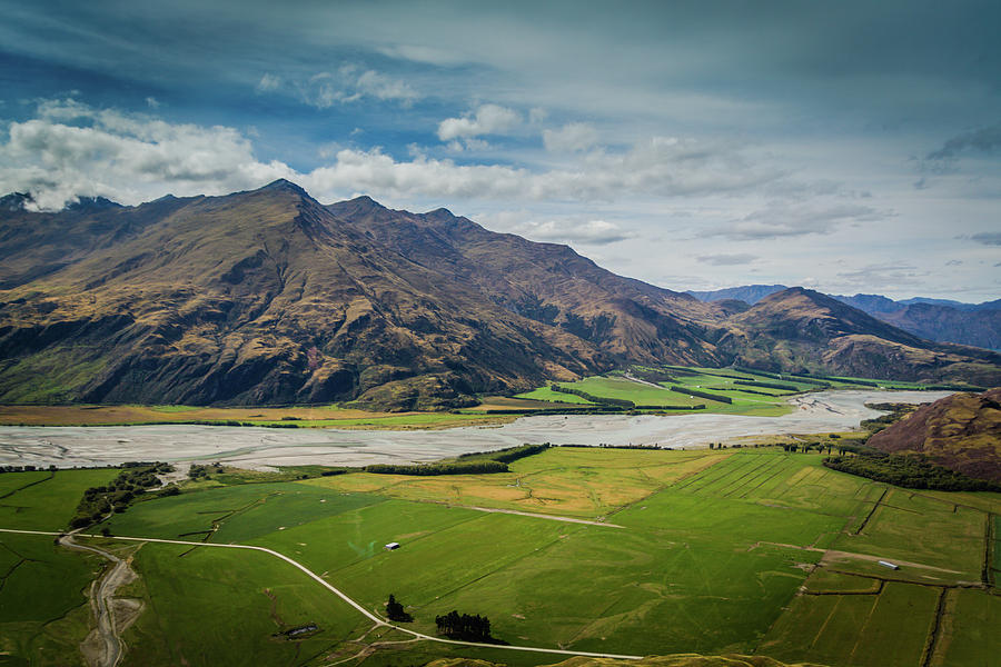 New Zealand Farming Photograph by DLP Squared Photography | Fine Art ...