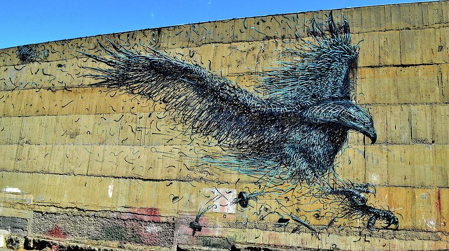 New Zealand - Graffiti 3 - The Eagle Has Landed - Dunedin Photograph by Jeremy Hall