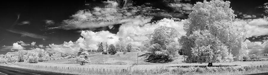 Tree Photograph - New Zealand Panorama by Russ Dixon