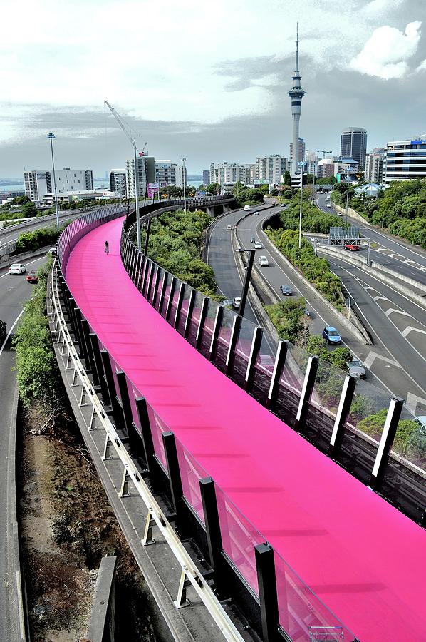 New Zealand - Pink Cycleway - Aukland Photograph by Jeremy Hall