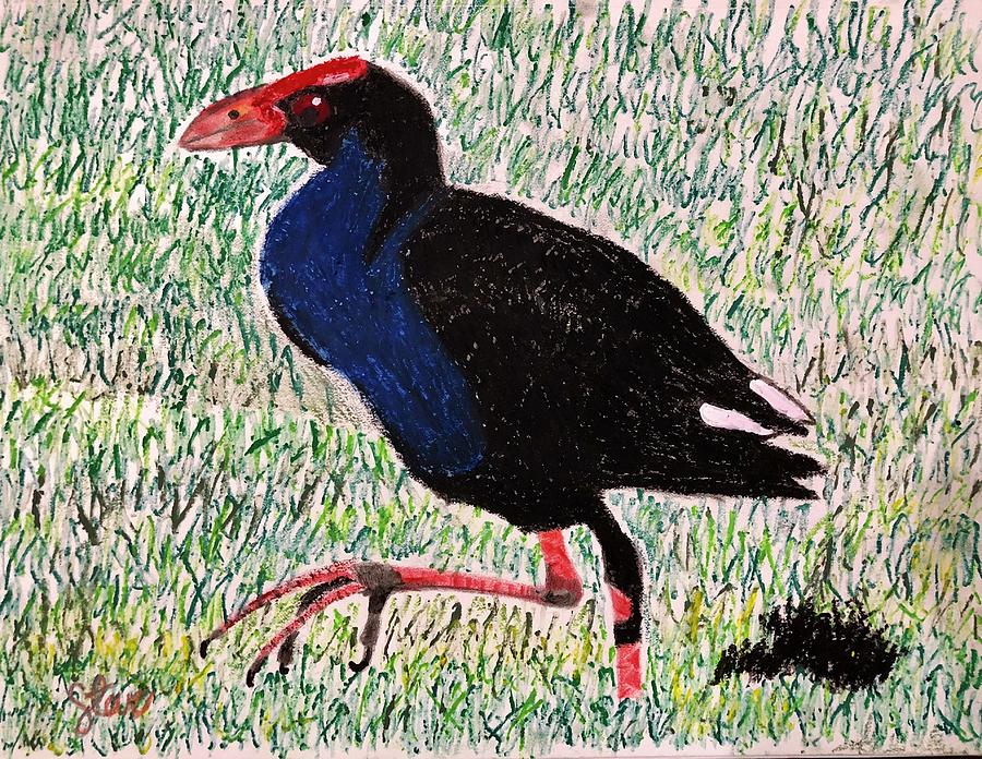 New Zealand Pukeko Painting by Steve Boquiron - Fine Art America