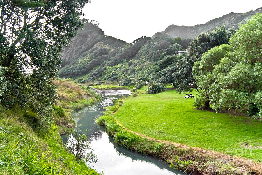 New Zealand Scenery Photograph by Yurix Sardinelly