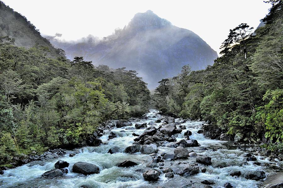 New Zealand - Tutoko River Photograph by Jeremy Hall