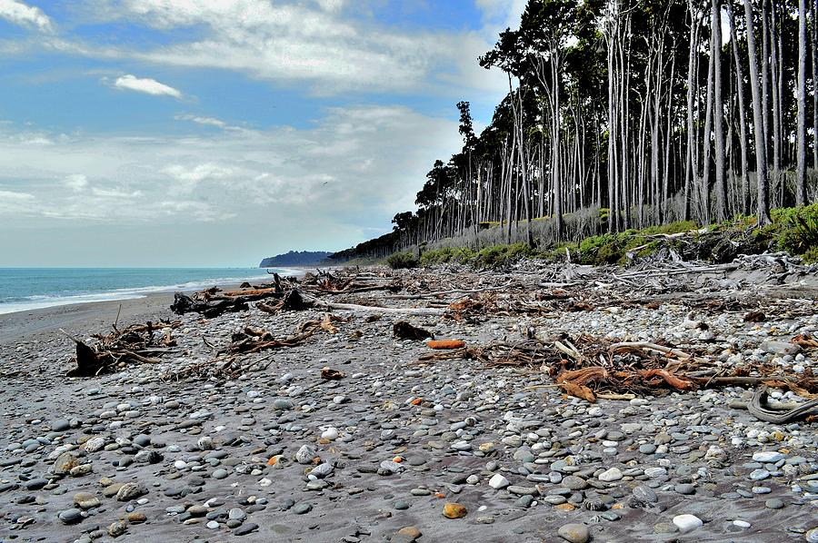 New Zealand - Wilderness 1 Photograph by Jeremy Hall