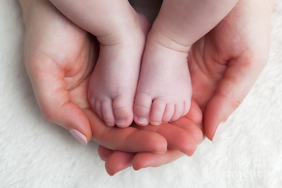 Newborn Baby Feet In Mothers Hands. Child Care, Feeling Safe, Protect. Photograph