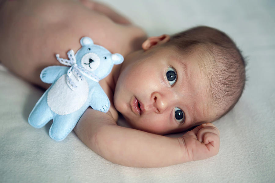 Newborn Lies With The Blue Soft Toy Bear On The Bed Photograph