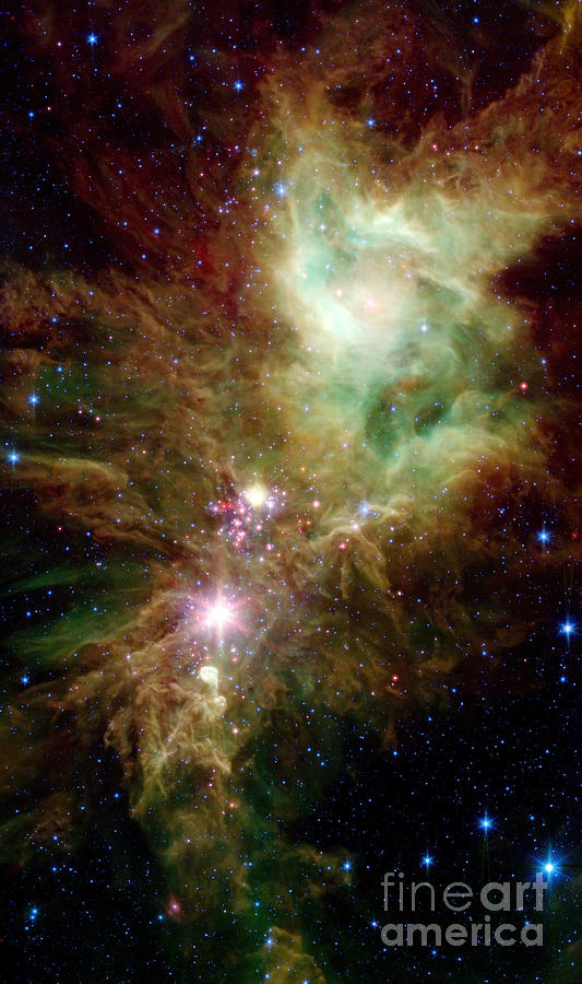 Newborn Stars In The Christmas Tree Photograph by Stocktrek Images