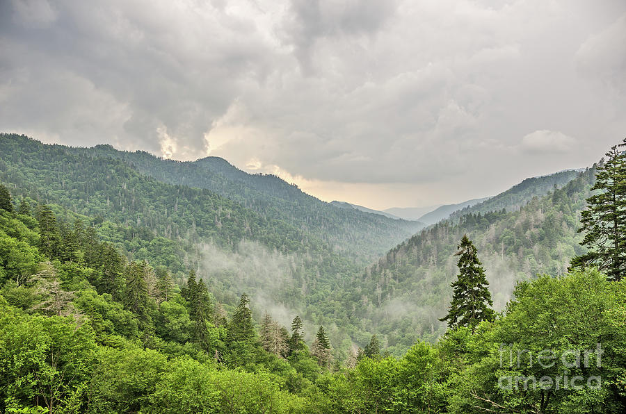Newfound Gap in Great Smoky Mountains National Park Photograph by Sue Smith