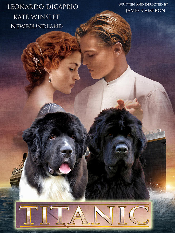 Newfoundland Art Canvas Print - Titanic Movie Poster Painting by Sandra Sij