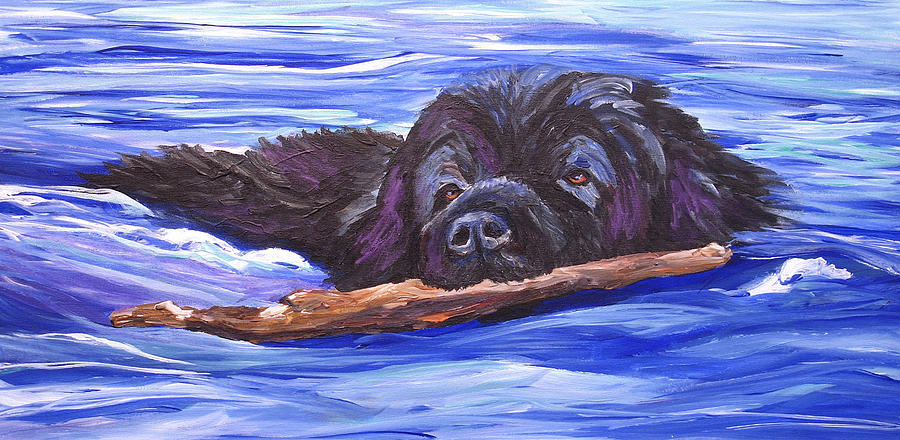 Newfoundland Dog Water Trials Painting by Mary Jo Zorad