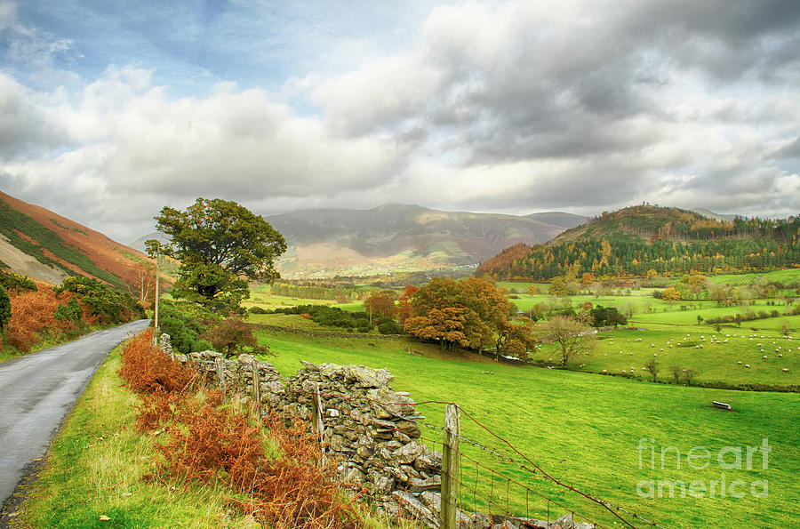 Newlands Valley Floor Cumbria Photograph by Linsey Williams