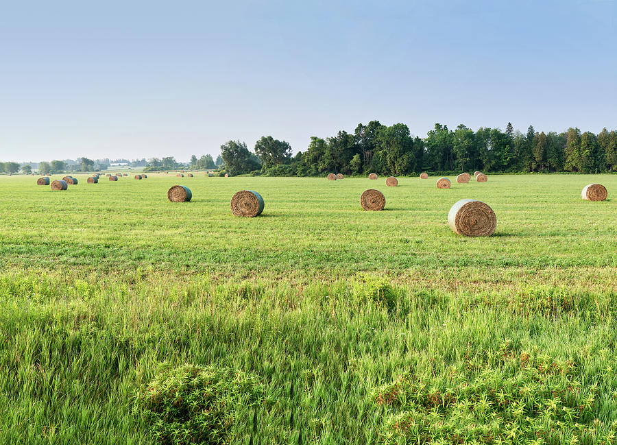 Newly Baled Hay Photograph by Nick Mares